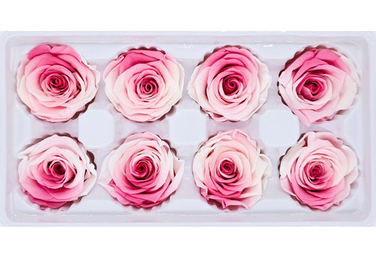 8 Preserved Roses In A Box - Gradient Dark Pink