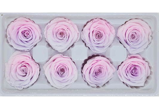 8 Preserved Roses In A Box - Pink & Purple