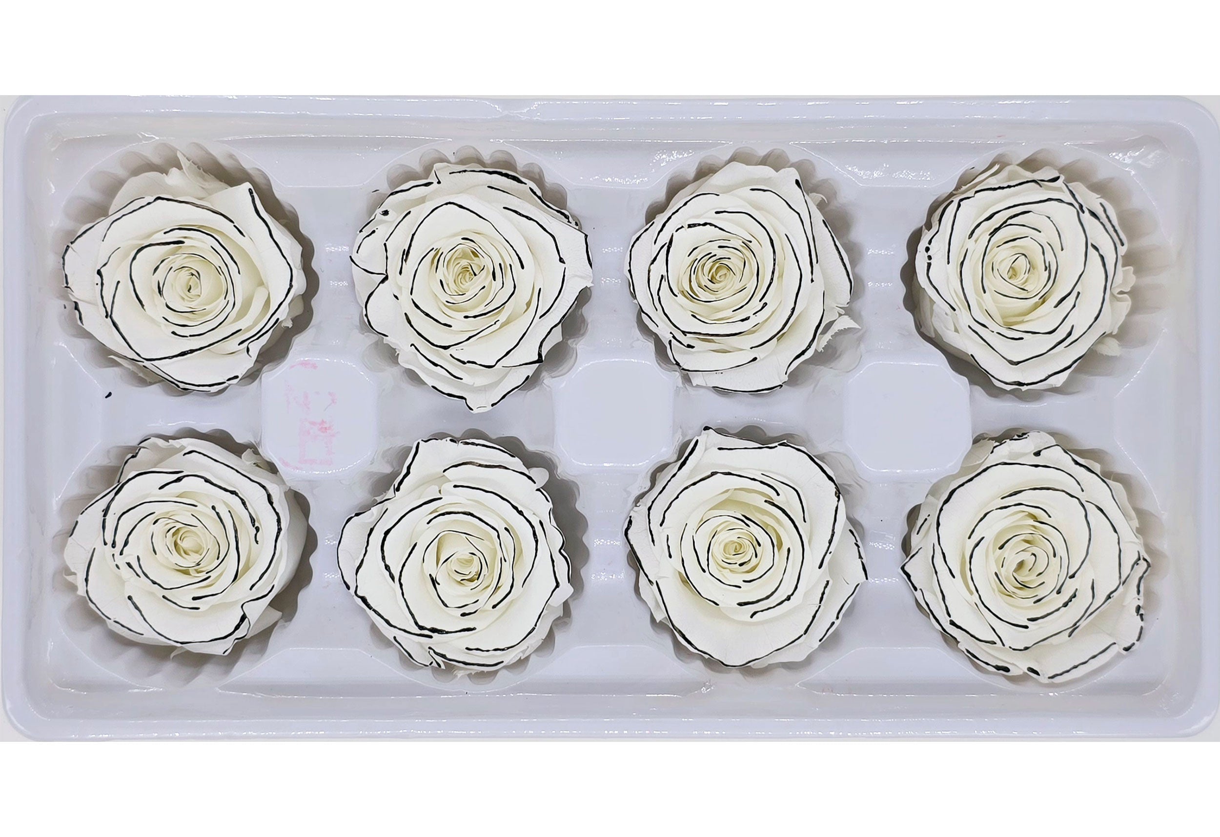 Wholesale Preserved Roses | 8 Roses In A Box - White with Black Lining ...