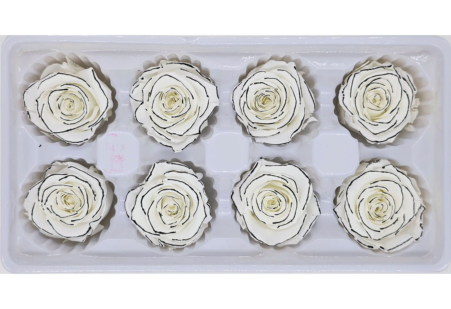 8 Preserved Roses In A Box - White with Black Lining