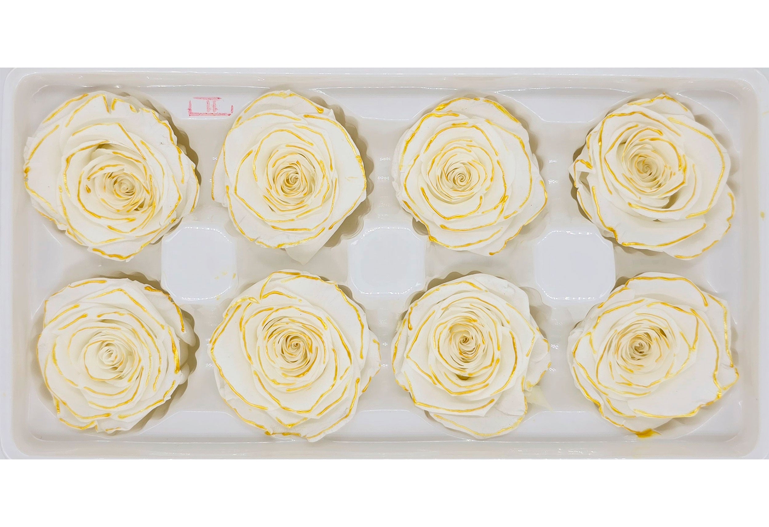 Wholesale Preserved Roses | 8 Roses In A Box - White with Gold Lining ...
