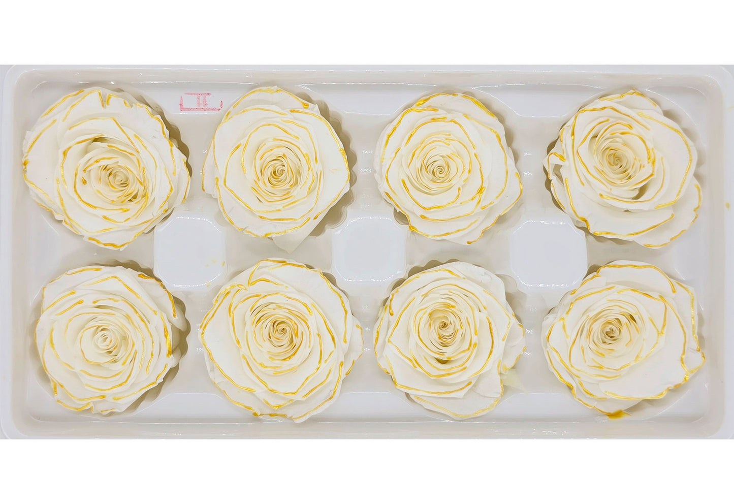 8 Preserved Roses In A Box - White with Gold Lining