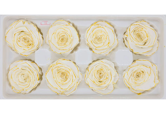 8 Preserved Roses In A Box - White with Gold Lining