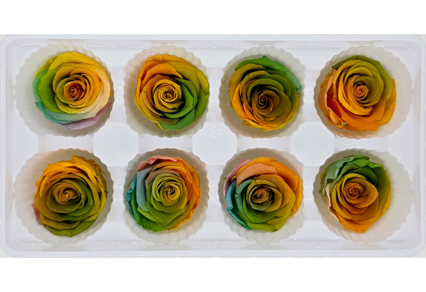 8 Preserved Roses In A Box- Dark Colour