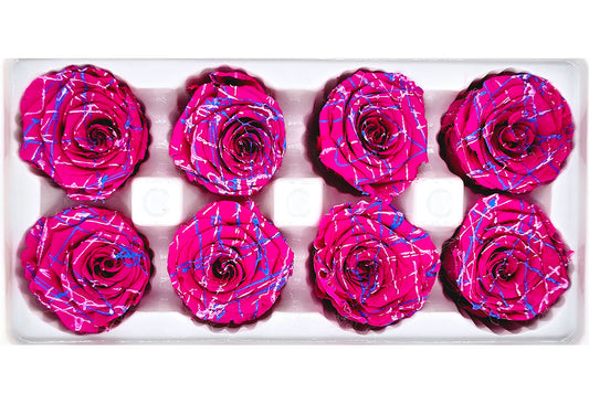 8 Preserved Roses In A Box- Hot Pink