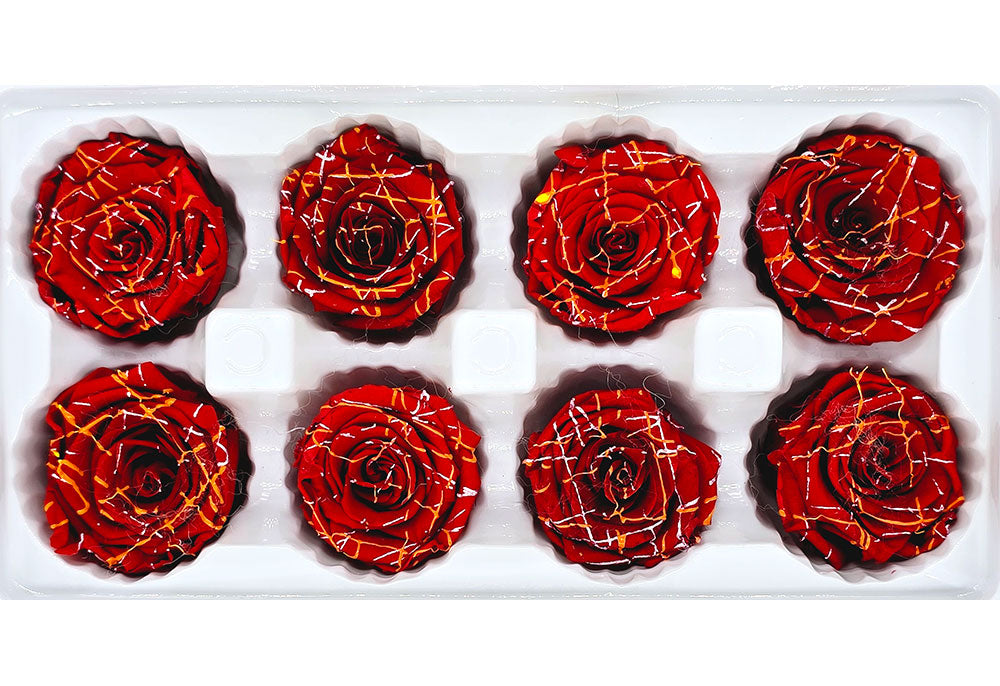 8 Preserved Roses In A Box- Red with Lines