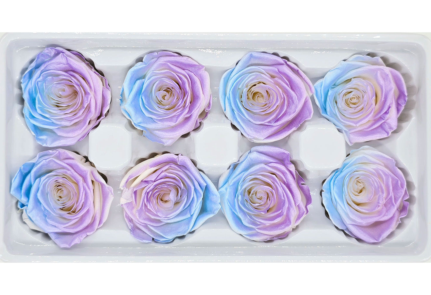 8 Preserved Roses In A Box- Satin Blue & Purple