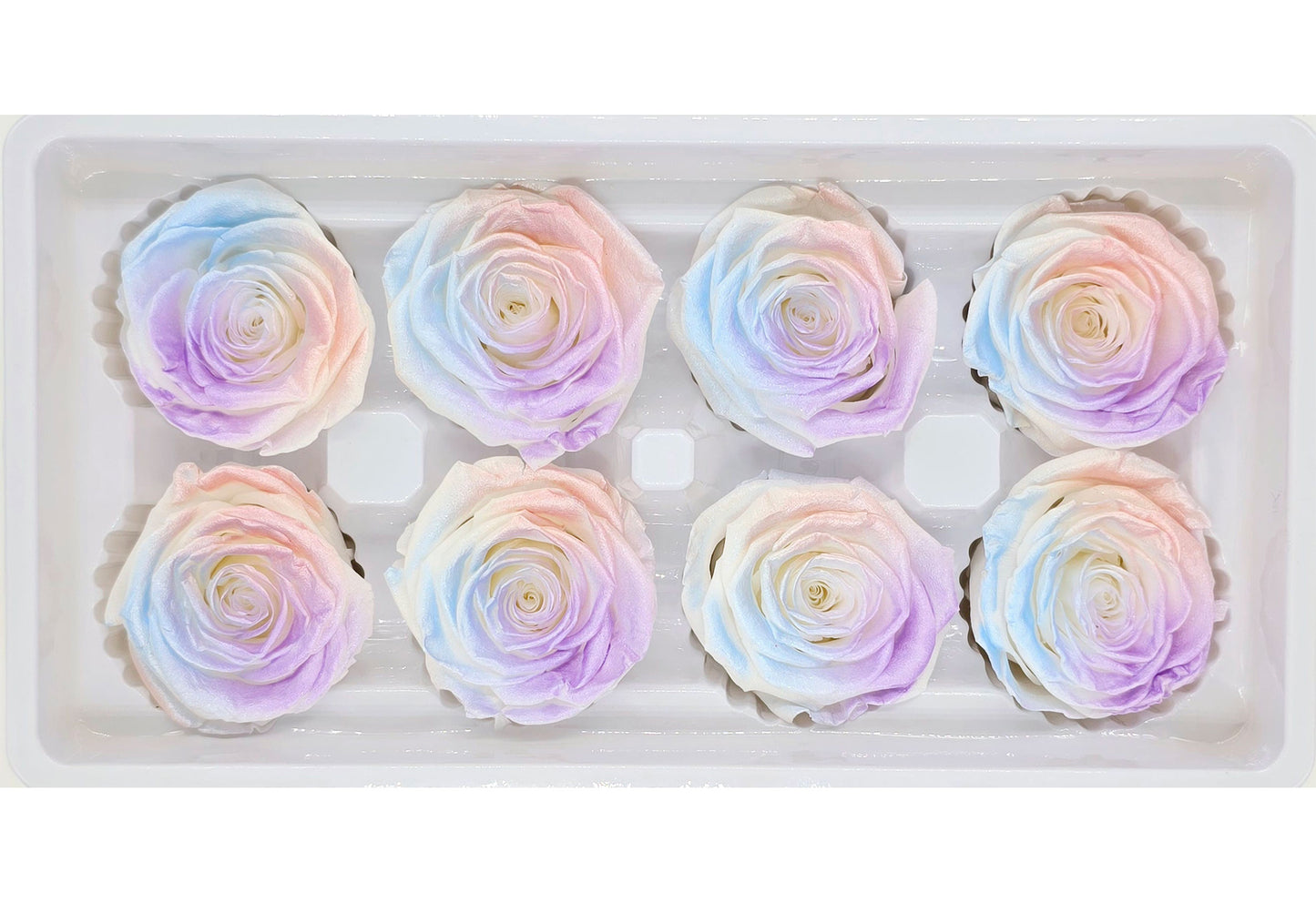 8 Preserved Roses In A Box- Satin Multi Colour