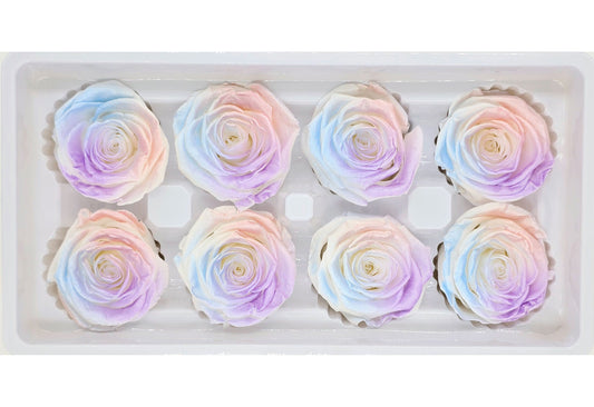 8 Preserved Roses In A Box- Satin Multi Colour