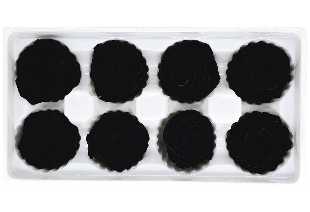 8 Preserved Roses In A Box- Black