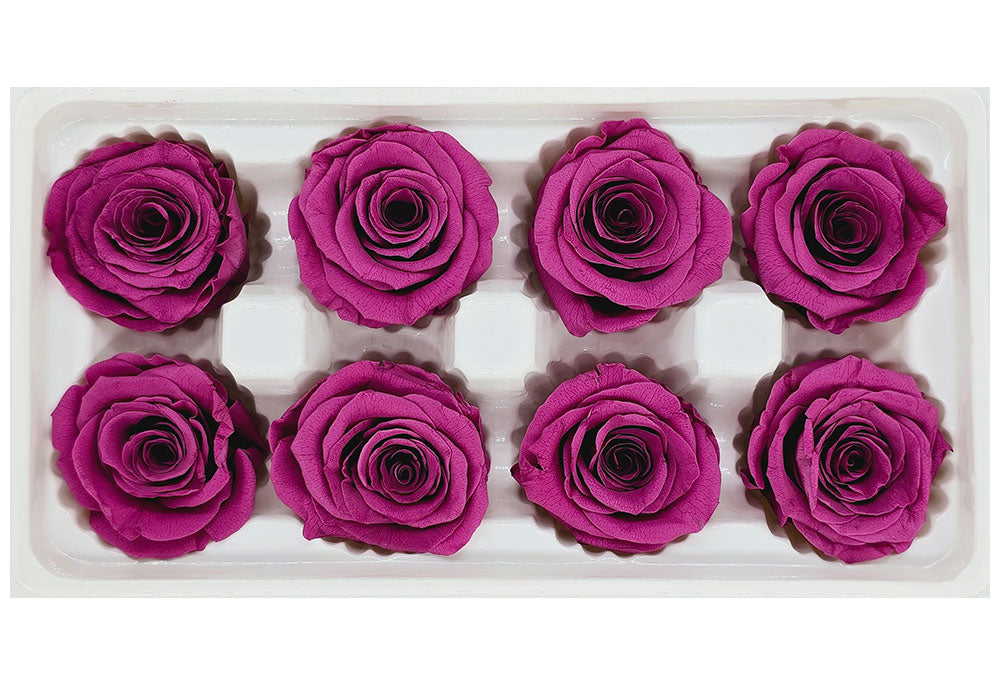 8 Preserved Roses In A Box- Blackcurrant