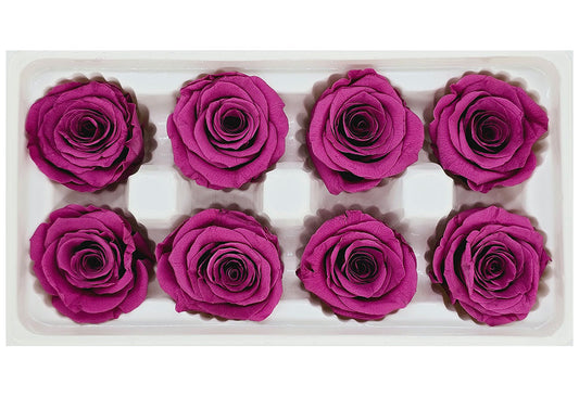 8 Preserved Roses In A Box- Blackcurrant