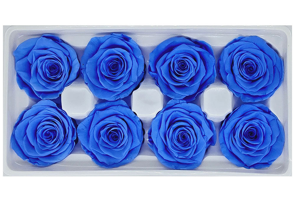 8 Preserved Roses In A Box- Bright Blue