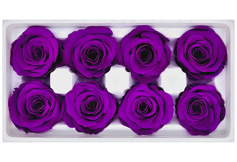 8 Preserved Roses In A Box- Bright Purple