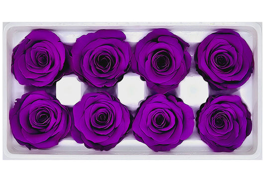 8 Preserved Roses In A Box- Bright Purple