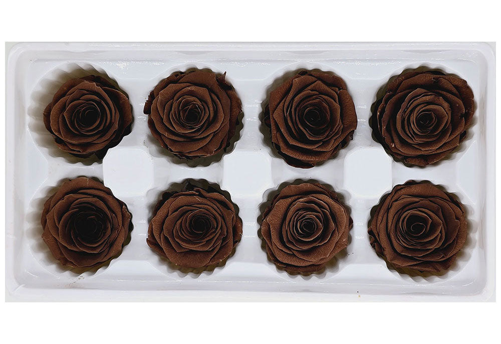 8 Preserved Roses In A Box- Dark Brown