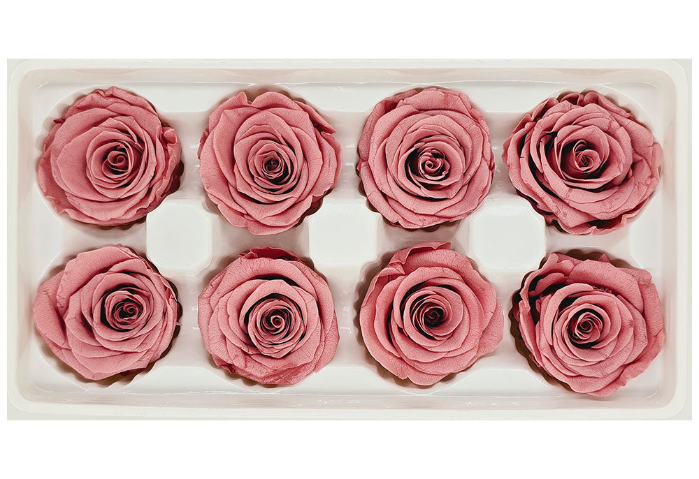 8 Preserved Roses In A Box- Dark Dusty Pink