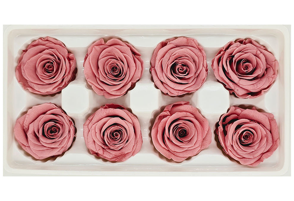 Wholesale Preserved Roses | 8 Roses In A Box - Dark Dusty Pink Colour ...