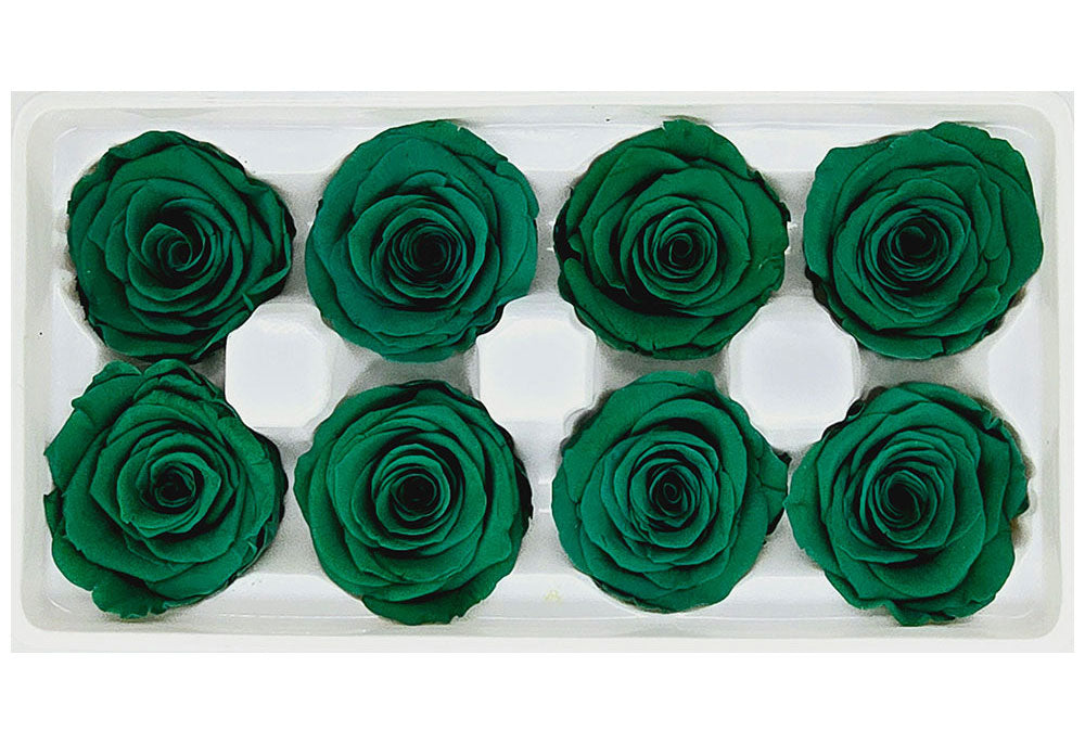 8 Preserved Roses In A Box- Dark Green