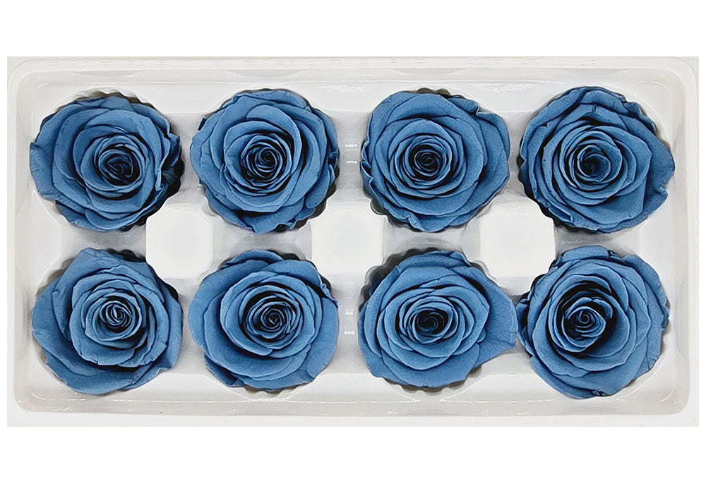 8 Preserved Roses In A Box- Dark Dusty Blue