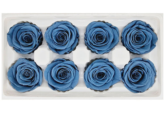 8 Preserved Roses In A Box- Dark Dusty Blue