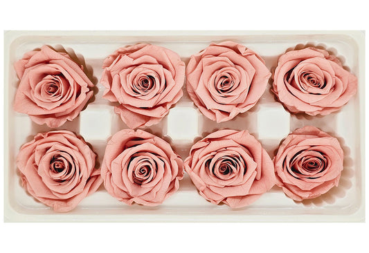 8 Preserved Roses In A Box- Dark Nude Pink