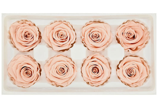 8 Preserved Roses In A Box- Dark Peach