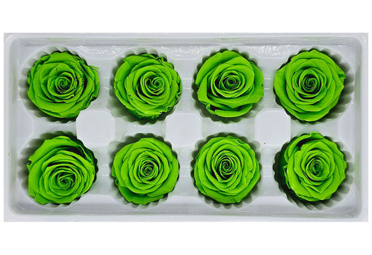 8 Preserved Roses In A Box- Green