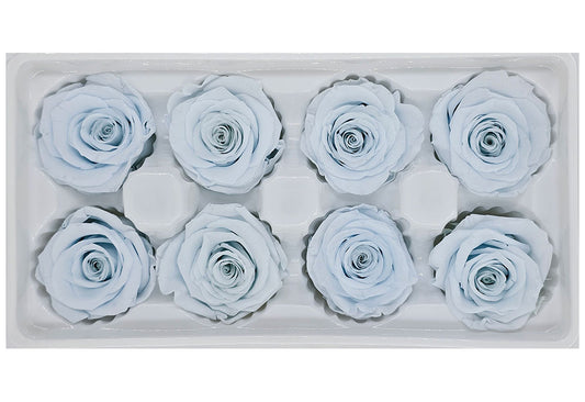 8 Preserved Roses In A Box- Light Blue