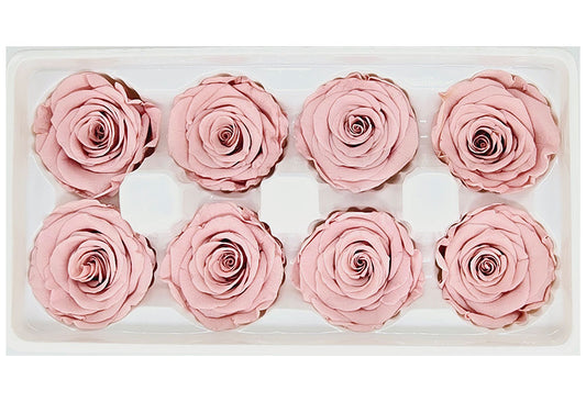 8 Preserved Roses In A Box- Light Dusty Pink