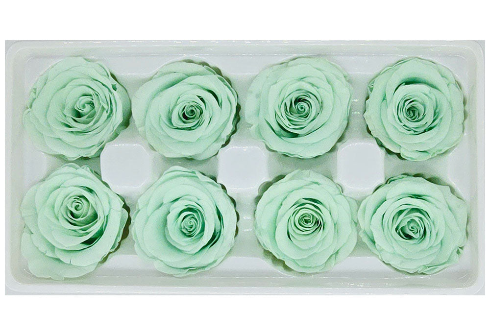 8 Preserved Roses In A Box- Light Green