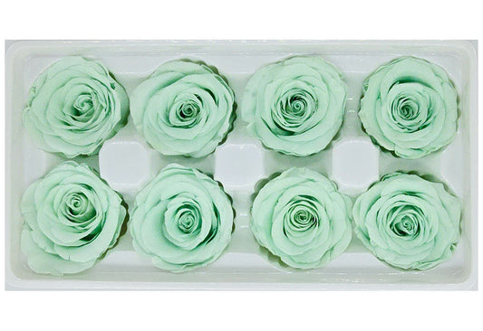 8 Preserved Roses In A Box- Light Green