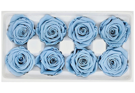 8 Preserved Roses In A Box- Light Dusty Blue