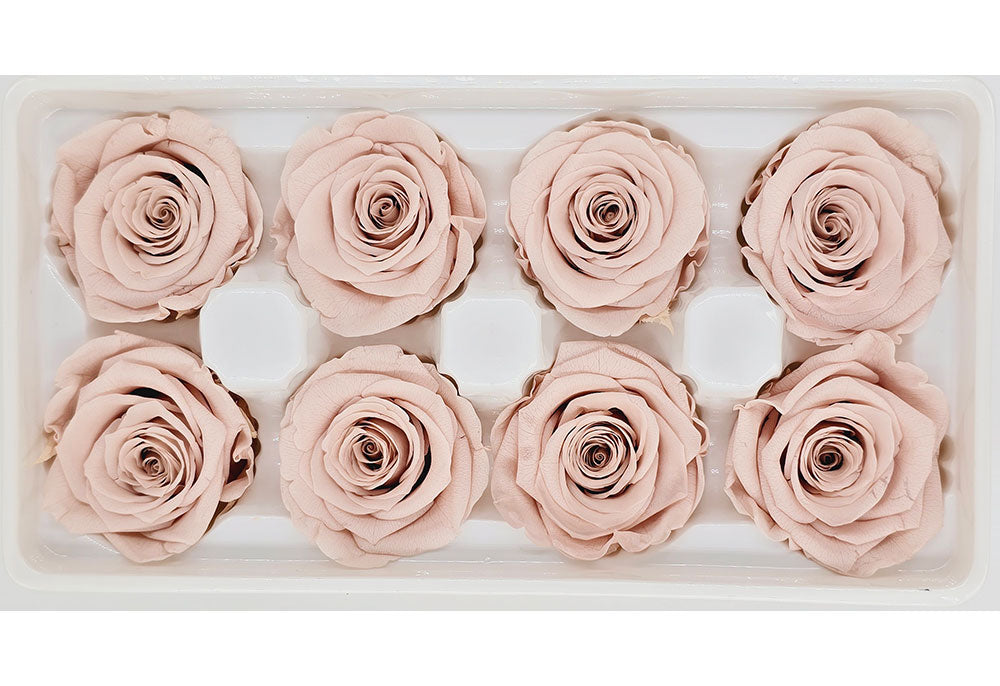 Nude Color Roses Wholesale Preserved Roses | 8 Roses In A Box - Light Nude Pink Colour ...