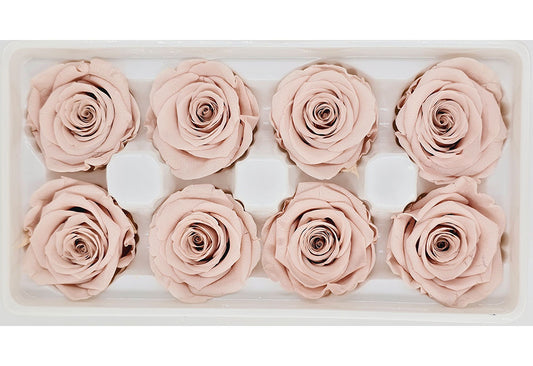 8 Preserved Roses In A Box- Light Nude Pink