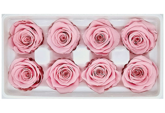 8 Preserved Roses In A Box- Light Pink