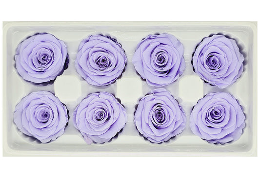 8 Preserved Roses In A Box- Light Purple