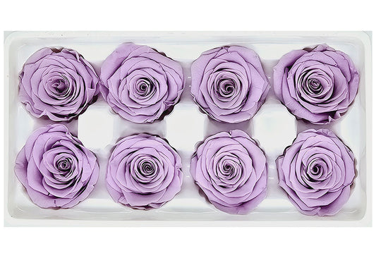 8 Preserved Roses In A Box- Lilac