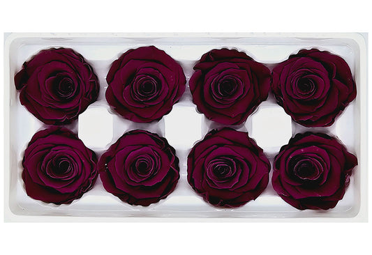 8 Preserved Roses In A Box- Maroon