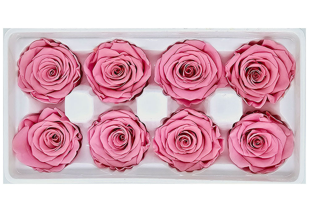 Individual Bulk Roses Wholesale Preserved Roses | 8 Roses In A Box - Medium Pink Colour – Lee ...