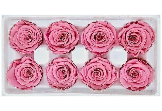 8 Preserved Roses In A Box- Medium Pink