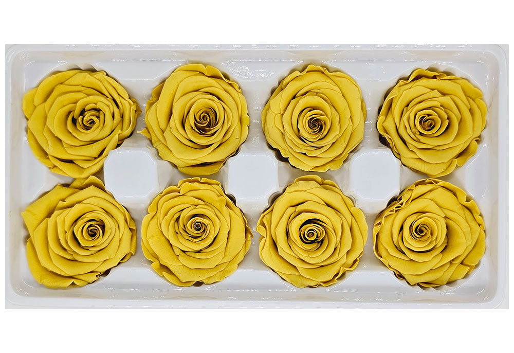 8 Preserved Roses In A Box- Mustard