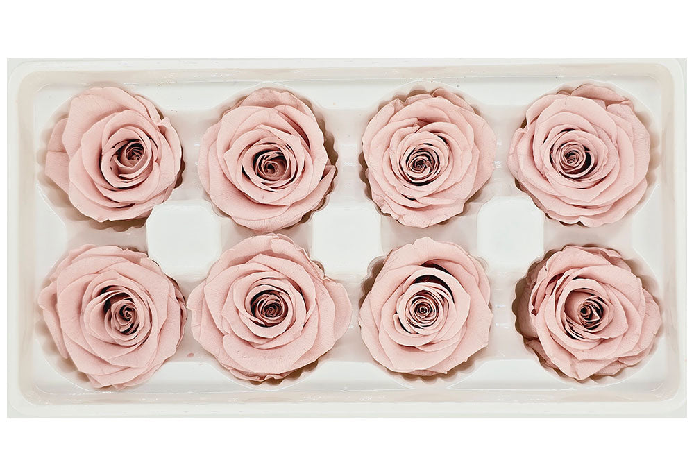 8 Preserved Roses In A Box- Nude Pink