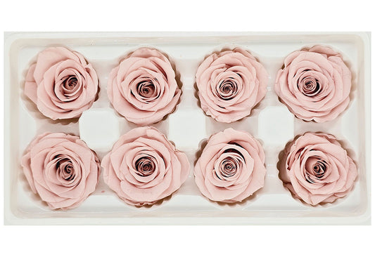 8 Preserved Roses In A Box- Nude Pink