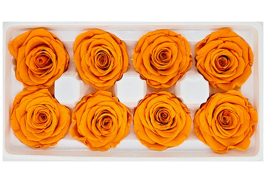 8 Preserved Roses In A Box- Orange