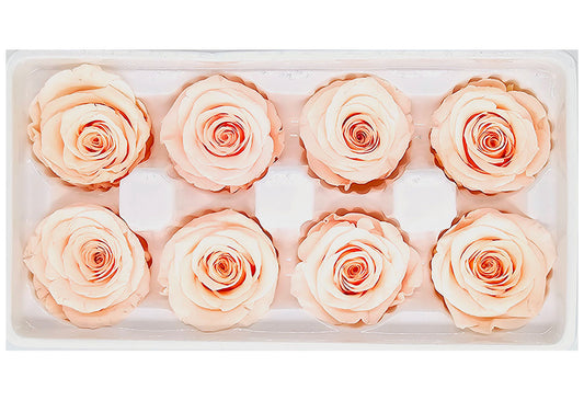 8 Preserved Roses In A Box- Peach