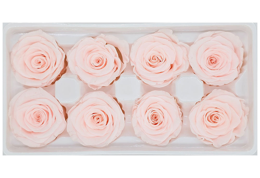 8 Preserved Roses In A Box- Pinkish Peach