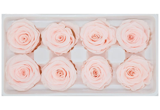 8 Preserved Roses In A Box- Pinkish Peach