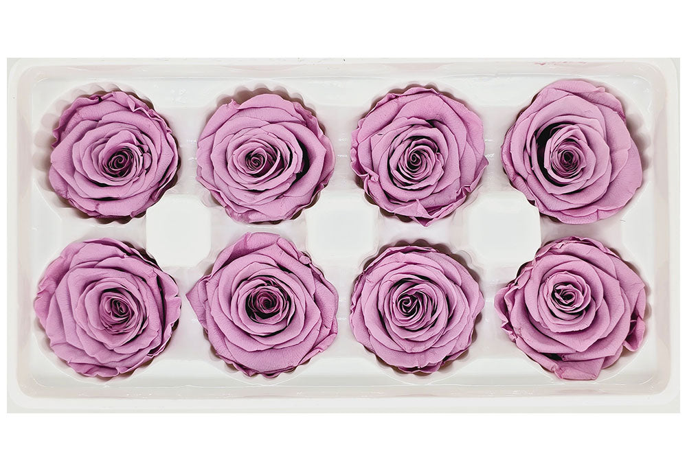 8 Preserved Roses In A Box- Pinkish Purple