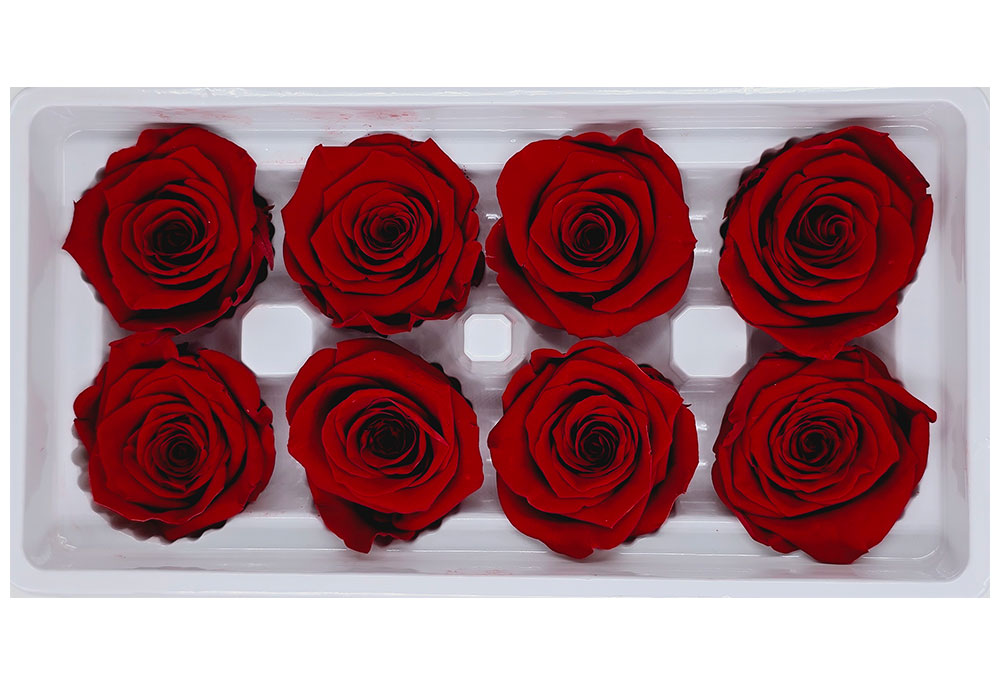 8 Preserved Roses In A Box- Red